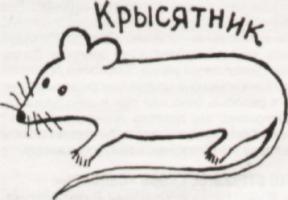 A drawing of a rat and a word - Krisyatnik - rat nest